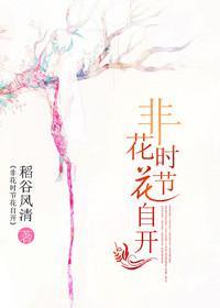 非花时节花自开封面