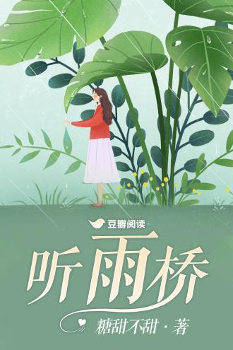 听雨桥封面