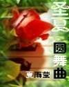 圣夏圆舞曲封面
