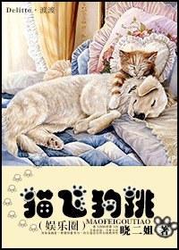 猫飞狗跳（娱乐圈）封面