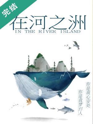 在河之洲封面