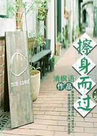 擦身而过封面
