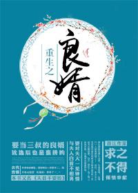 重生之良婿封面