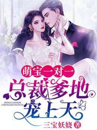一胎二宝：总裁爹地惹不得封面