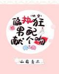 给偏执男配献个吻[快穿]封面
