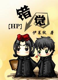 [HP]错觉封面