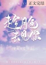 趁月色去见你封面