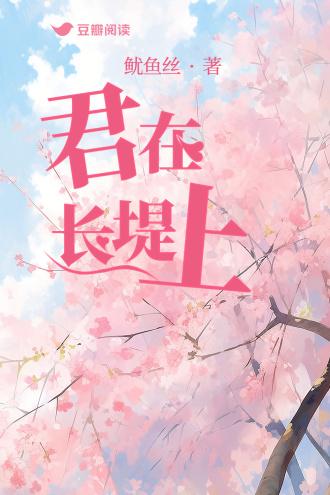 君在长堤上封面