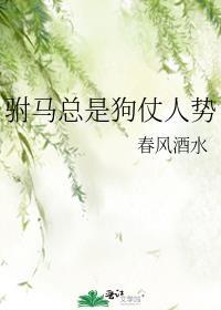 驸马总是狗仗人势封面