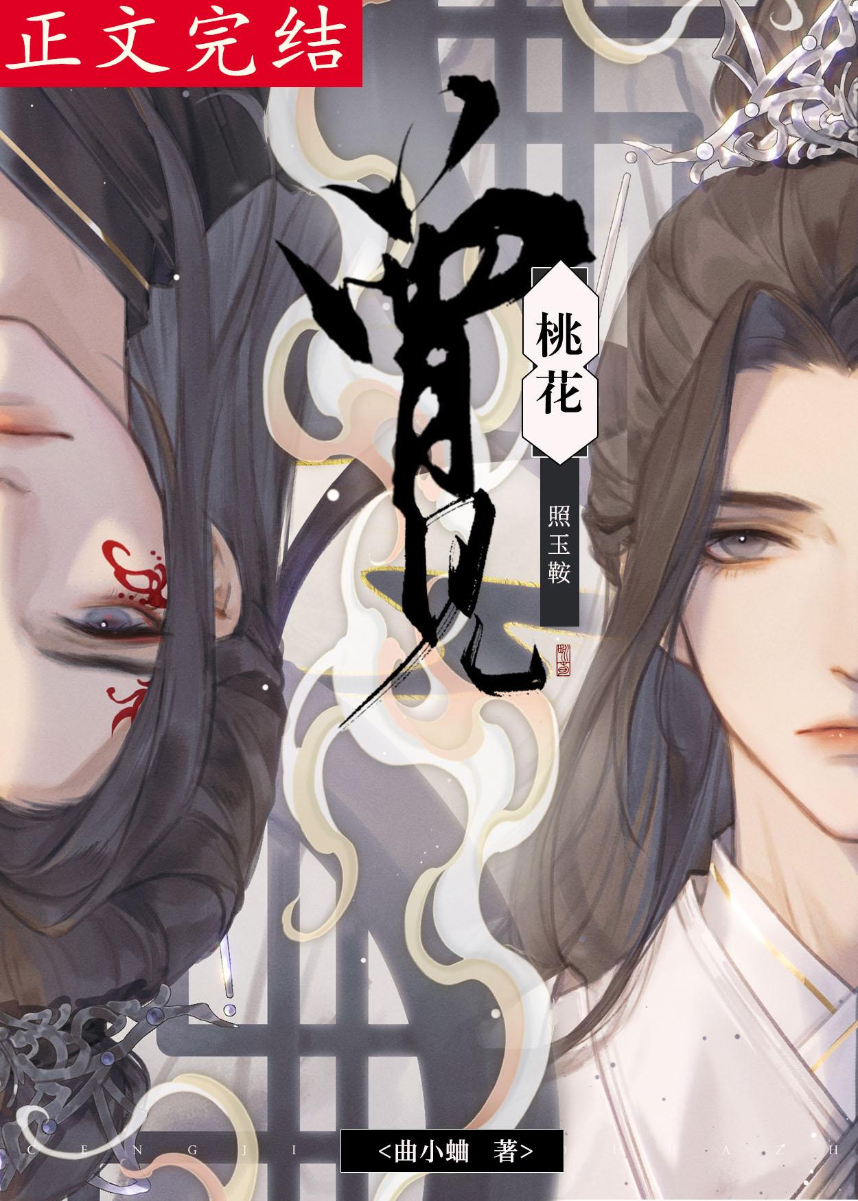 曾见桃花照玉鞍封面