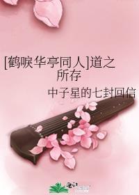 [鹤唳华亭同人]道之所存封面