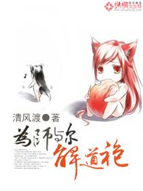 为师与尔解道袍封面