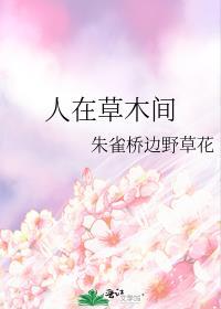 人在草木间封面