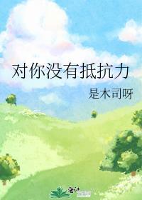 对你没有抵抗力封面
