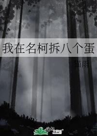 我在名柯拆八个蛋封面