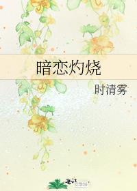 暗恋灼烧封面