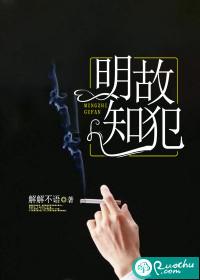 明知故犯封面