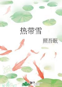 热带雪封面
