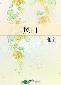 风口封面