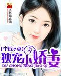 独宠小娇妻封面