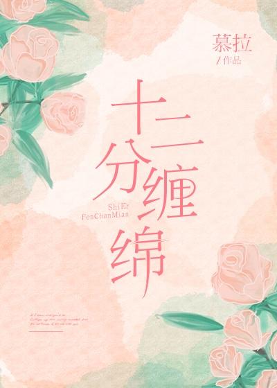 十二分缠绵封面
