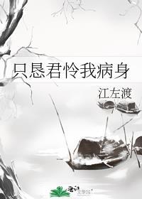 只恳君怜我病身封面