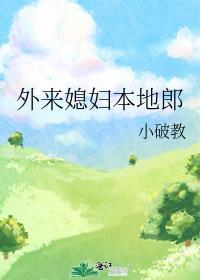 外来媳妇本地郎封面