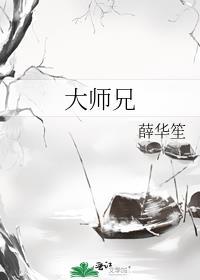 大师兄封面
