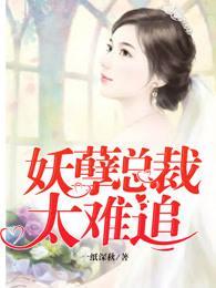 妖孽总裁太难追封面