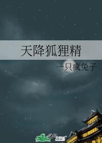 天降狐貍精封面