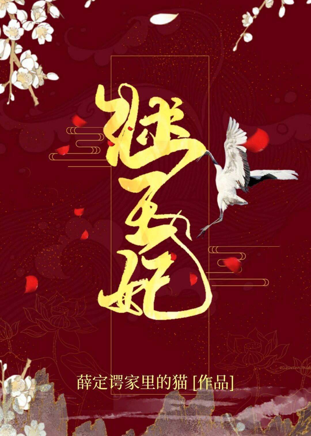 继王妃封面