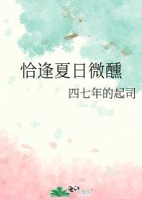 恰逢夏日微醺封面
