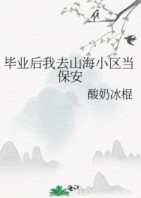 毕业后我去山海小区当保安封面