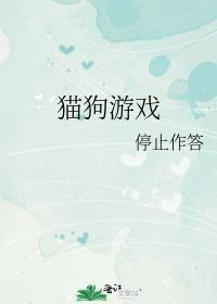 猫狗游戏封面