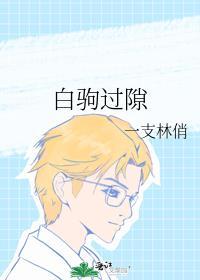 白驹过隙封面