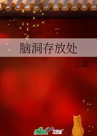 脑洞存放处封面