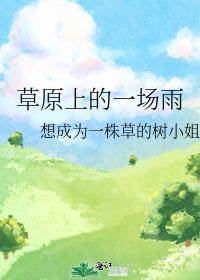 草原上的一场雨封面