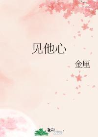 见他心封面