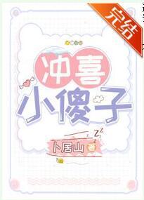 冲喜小傻子（穿越）封面
