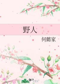 野人封面
