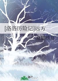 [洛洛历险记]远方封面
