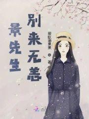 景先生别来无恙封面