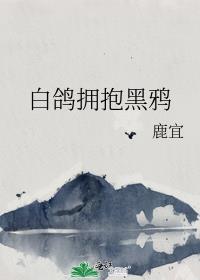 白鸽拥抱黑鸦封面