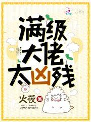 满级大佬太凶残封面