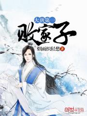 大唐第一败家子封面