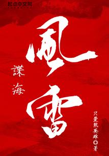 谍海风雷封面
