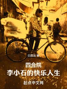 四合院：李小石的快乐人生封面