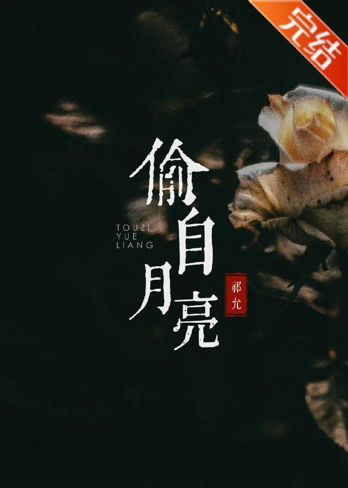 偷自月亮封面