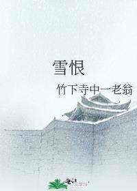 雪恨封面