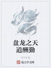 盘龙之天道酬勤封面
